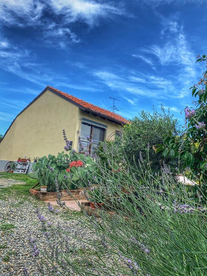 Bed and Breakfast Ca' degli Ovi Valenza Esterno foto