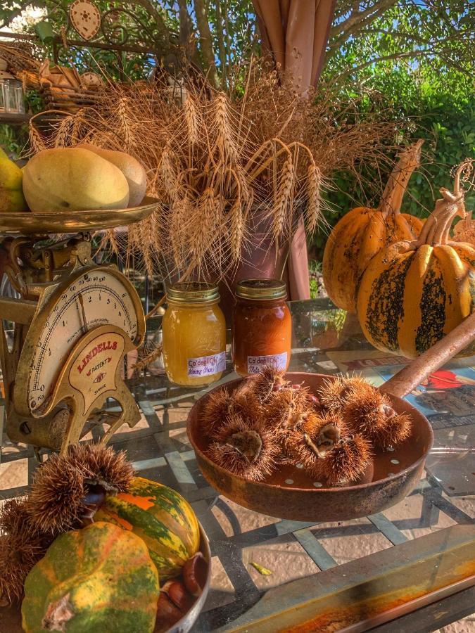 Bed and Breakfast Ca' degli Ovi Valenza Esterno foto