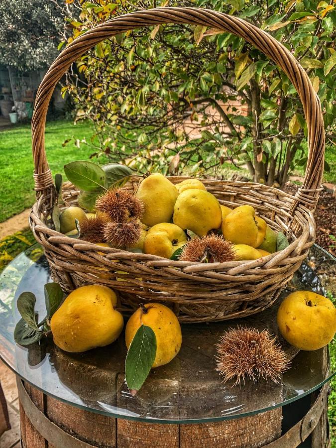 Bed and Breakfast Ca' degli Ovi Valenza Esterno foto
