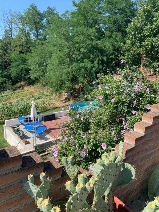 Bed and Breakfast Ca' degli Ovi Valenza Esterno foto
