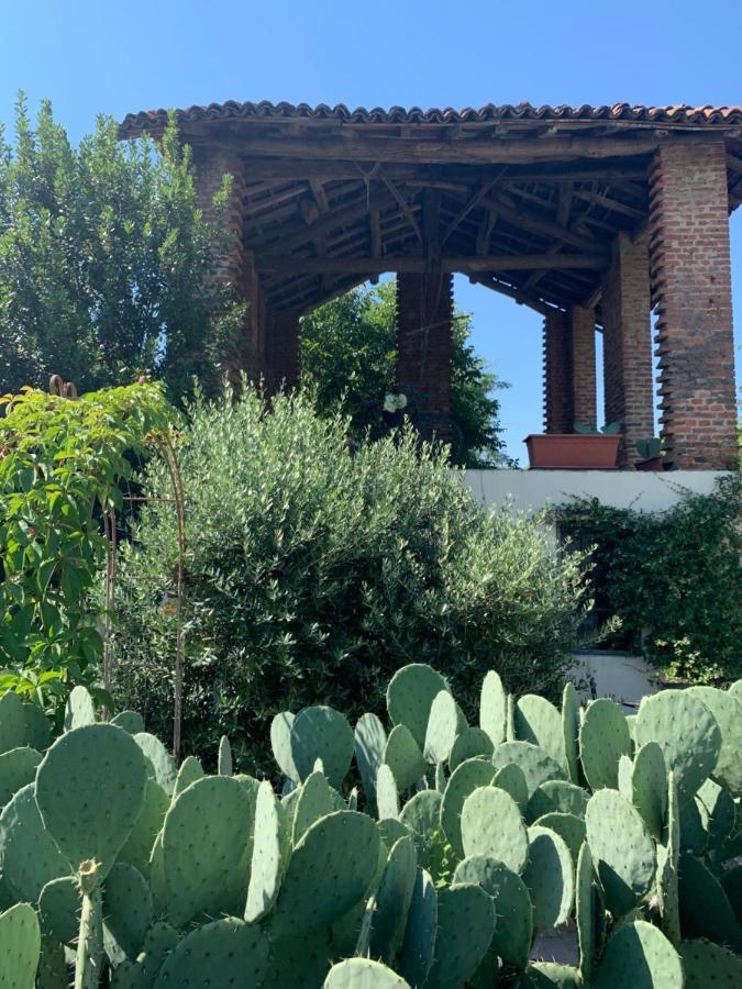 Bed and Breakfast Ca' degli Ovi Valenza Esterno foto