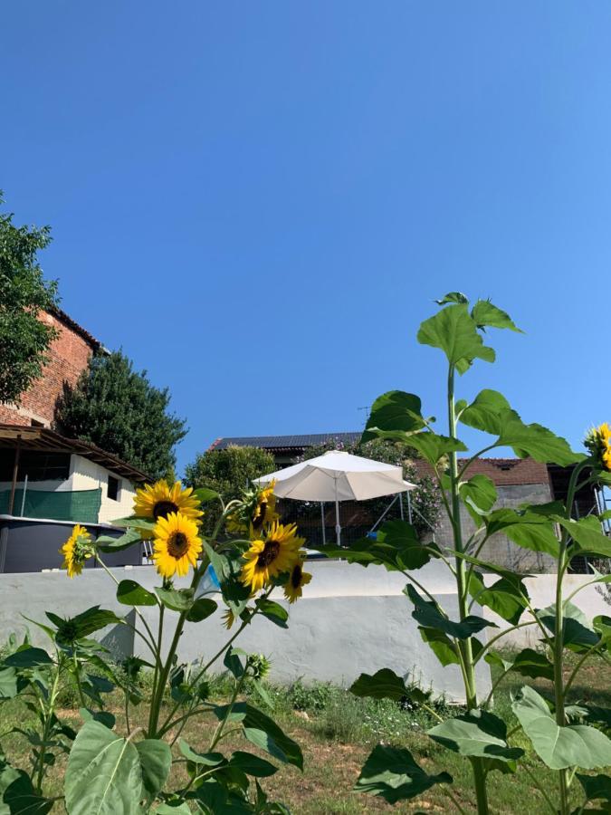 Bed and Breakfast Ca' degli Ovi Valenza Esterno foto