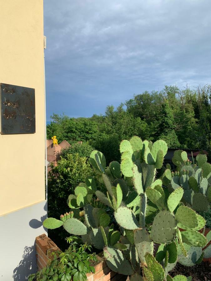 Bed and Breakfast Ca' degli Ovi Valenza Esterno foto